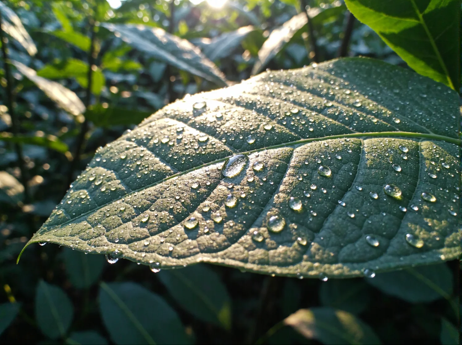 Ciepła barwa światła lampy ogrodowej wydobywająca nasyconą zieleń liści ozdobnych roślin.